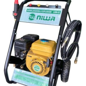 Hidrolavadora a Explosion 6,5Hp 175Bar - Imagen 2